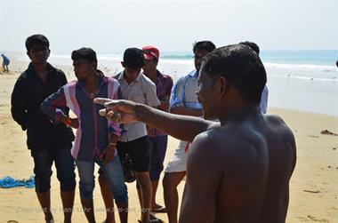 Fishing with net, Chowara Beach,_DSC_9603_H600